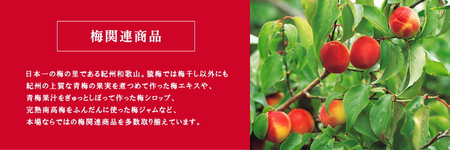 日本一の梅の里である紀州和歌山。猿梅では梅干し以外にも紀州の上質な青梅の果実を煮つめて作った梅エキスや、青梅果汁をぎゅっとしぼって作った梅シロップ、完熟南高梅をふんだんに使った梅ジャムなど、本場ならではの梅関連商品を多数取り揃えています。